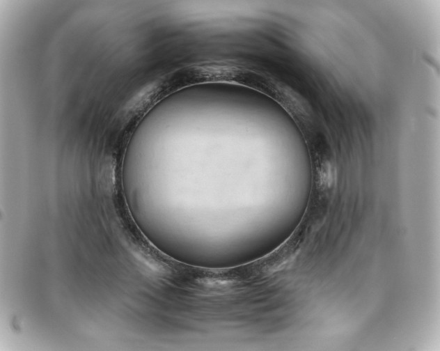 X0000096460733200801241406