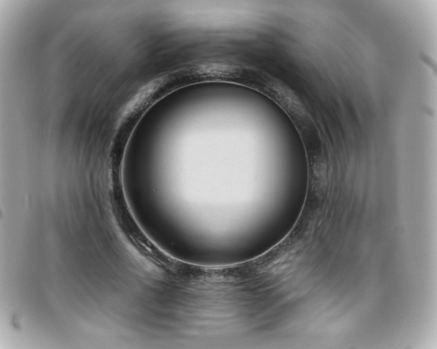 X0000096460734200801241406