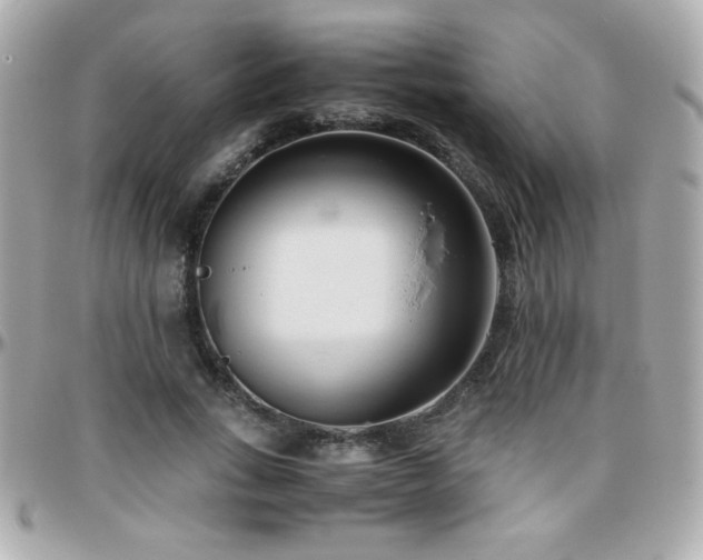 X0000096460735200801241406