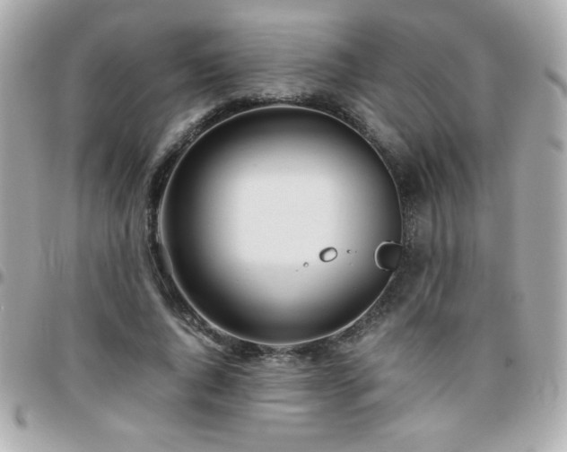 X0000096460736200801241406