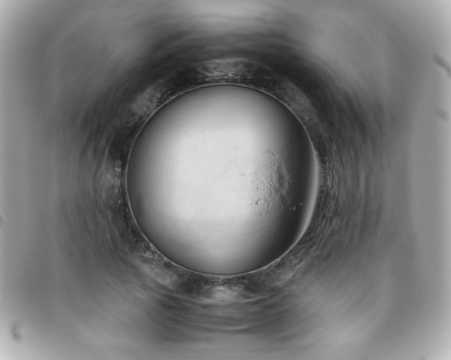 X0000096460737200801241406