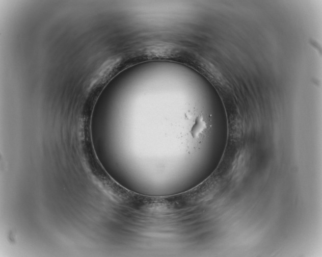 X0000096460738200801241406