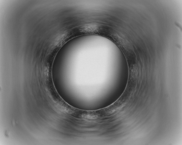 X0000096460739200801241406