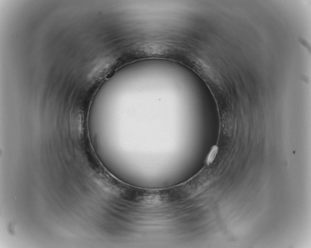 X0000096460740200801241406