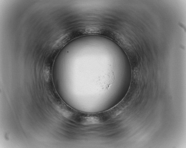 X0000096460741200801241406