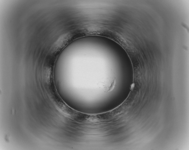 X0000096460742200801241406