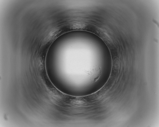 X0000096460743200801241406