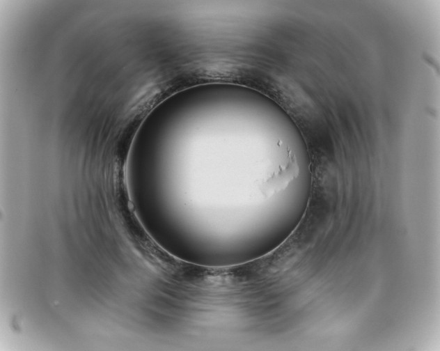 X0000096460744200801241406