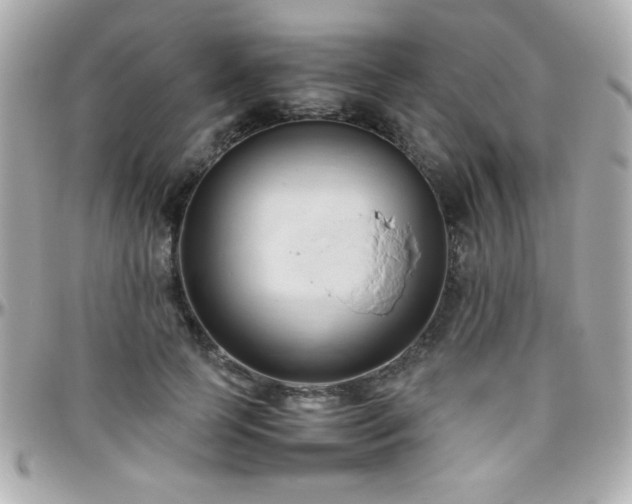 X0000096460745200801241406