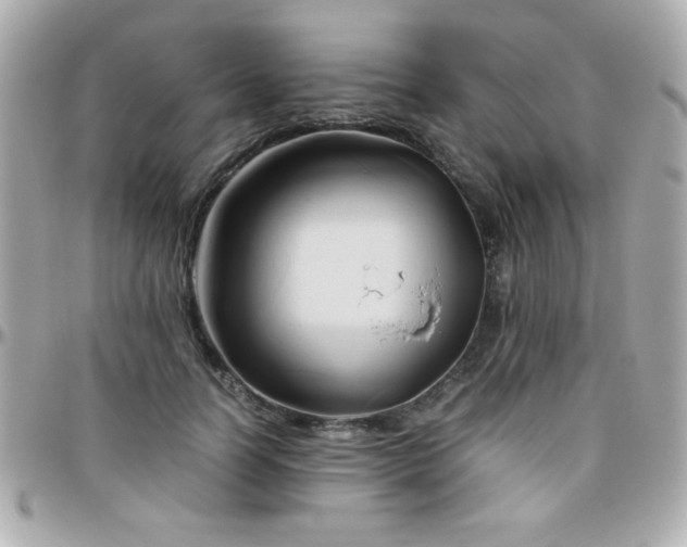 X0000096460746200801241406
