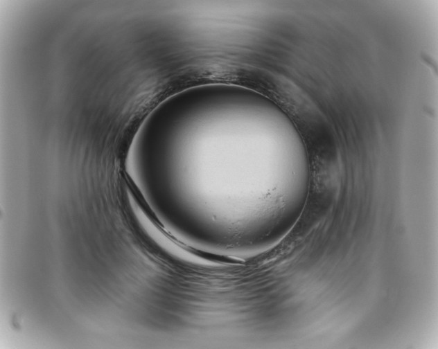 X0000096460748200801241406