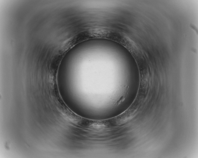 X0000096460749200801241406