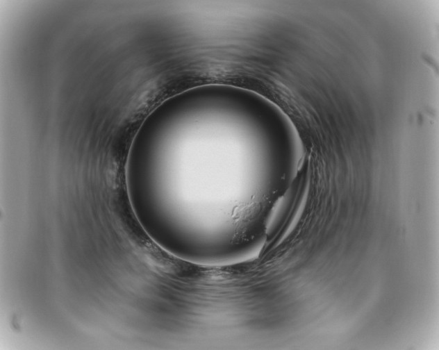 X0000096460750200801241406