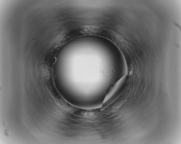 X0000096460751200801241406