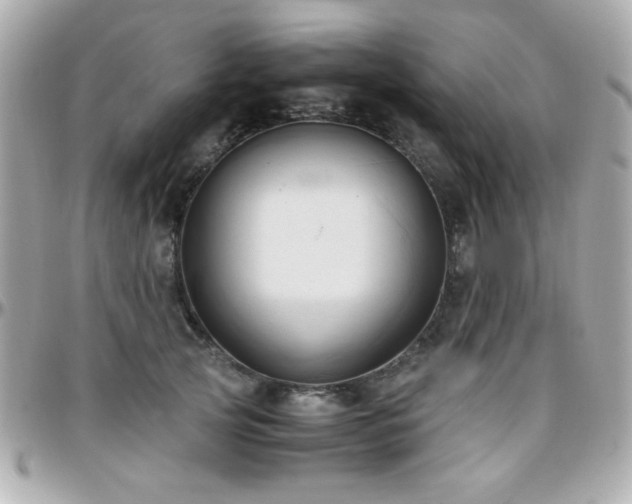 X0000096460753200801241406
