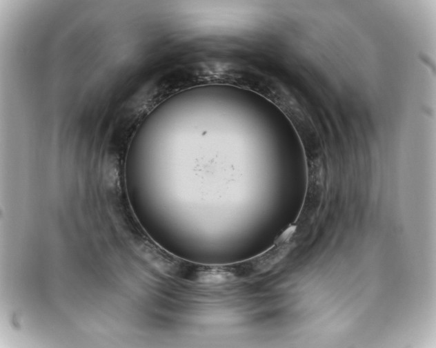 X0000096460754200801241406