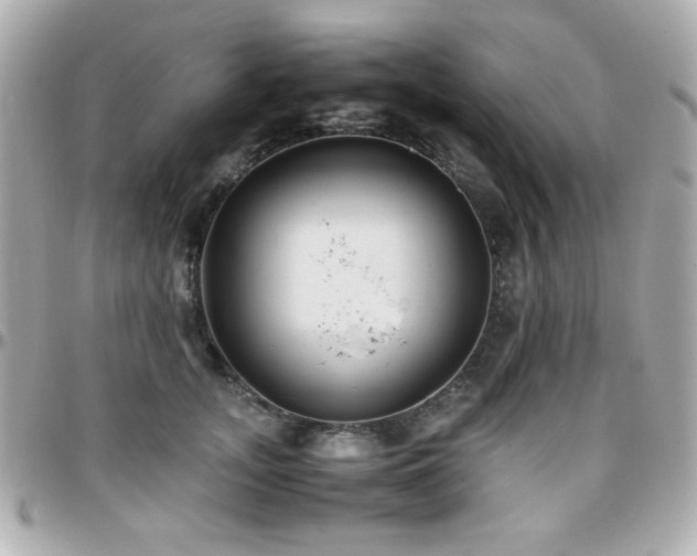 X0000096460755200801241406