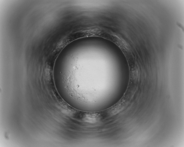 X0000096460757200801241406