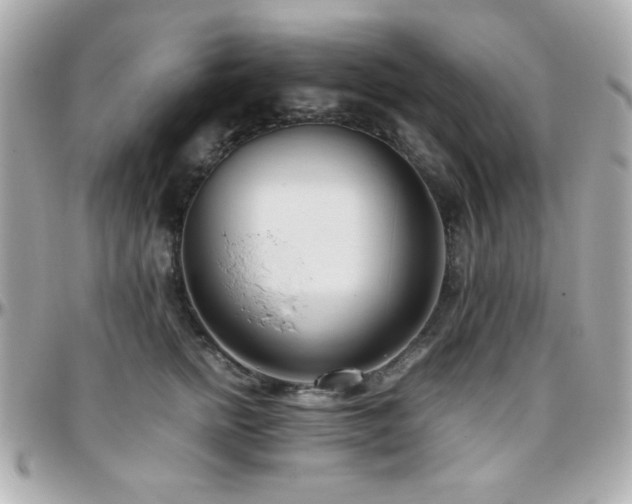 X0000096460758200801241406