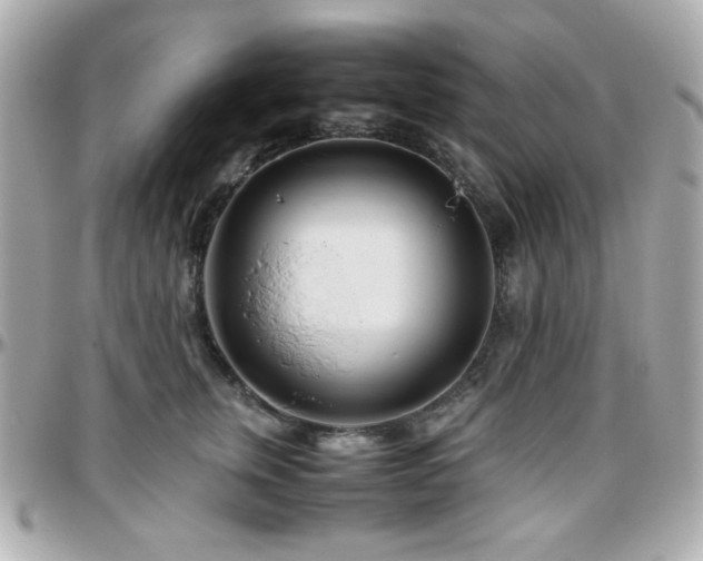 X0000096460759200801241406