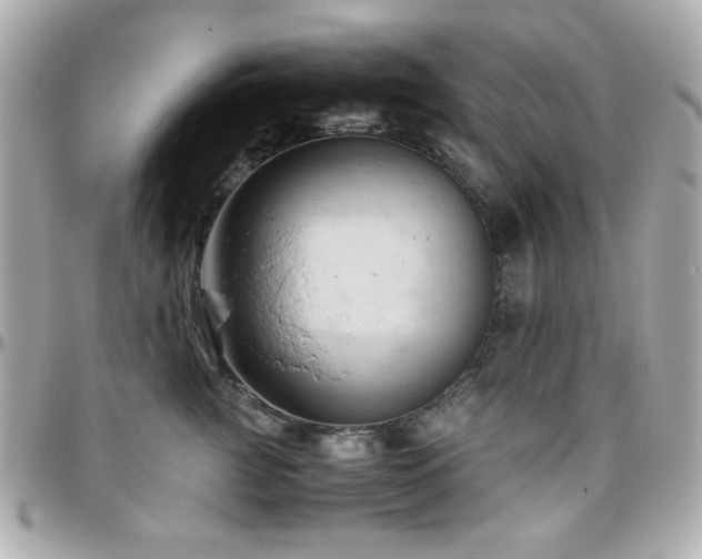 X0000096460761200801241406