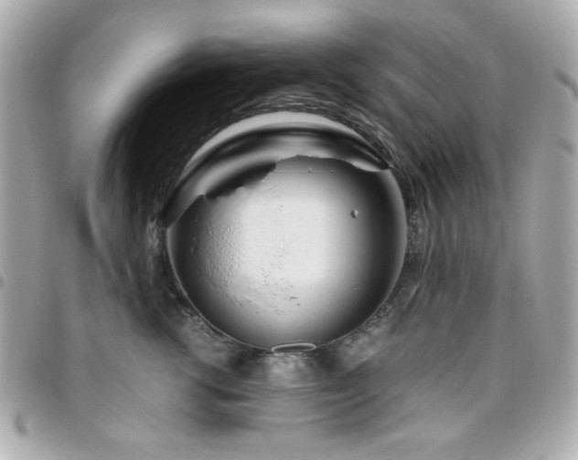 X0000096460762200801241406