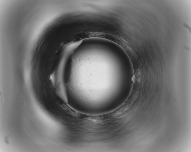 X0000096460763200801241407