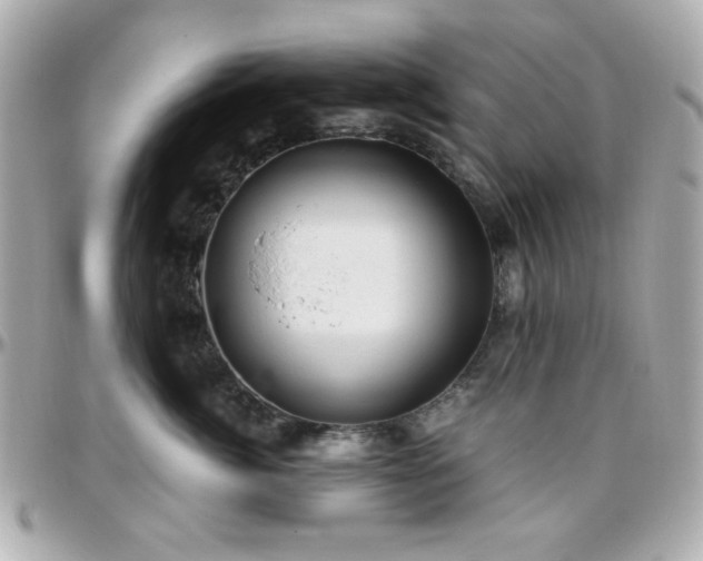 X0000096460764200801241407