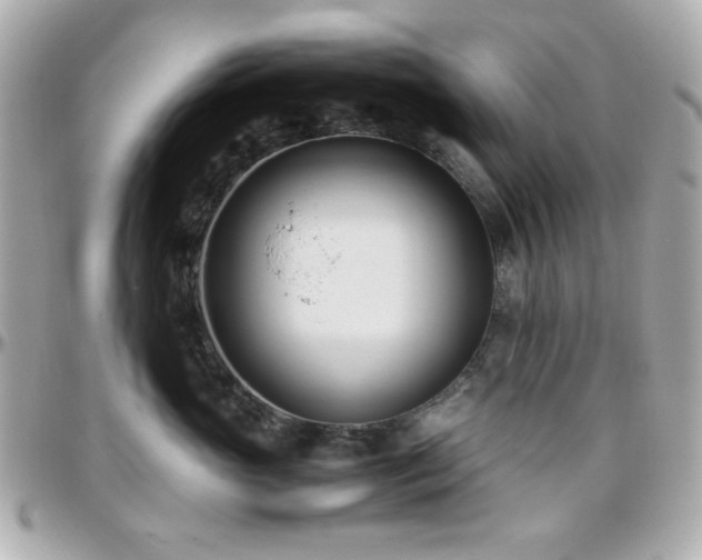 X0000096460765200801241407