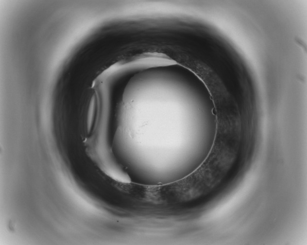 X0000096460766200801241407