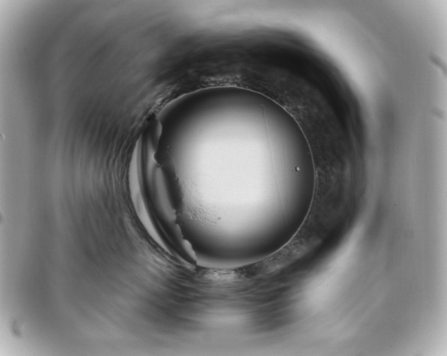 X0000096460767200801241407