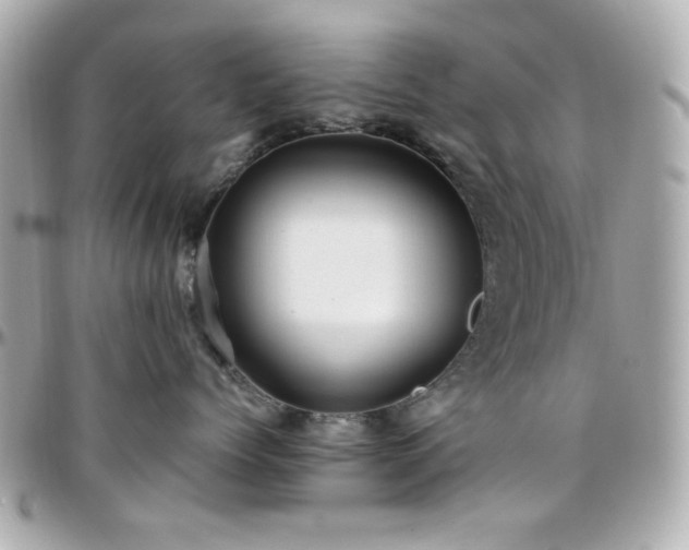 X0000096460768200801241407