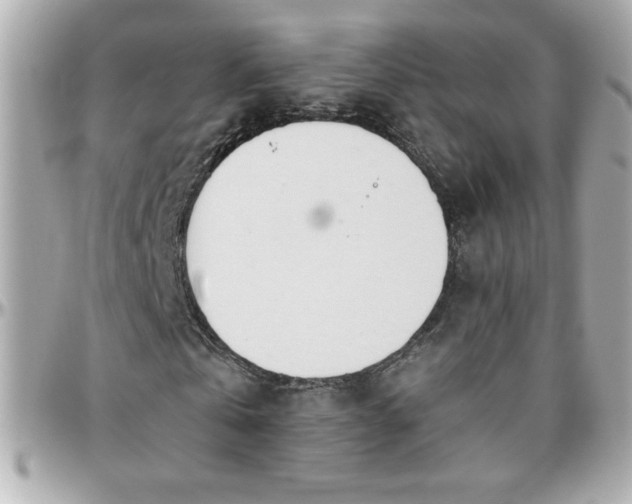 X0000096460769200801241406