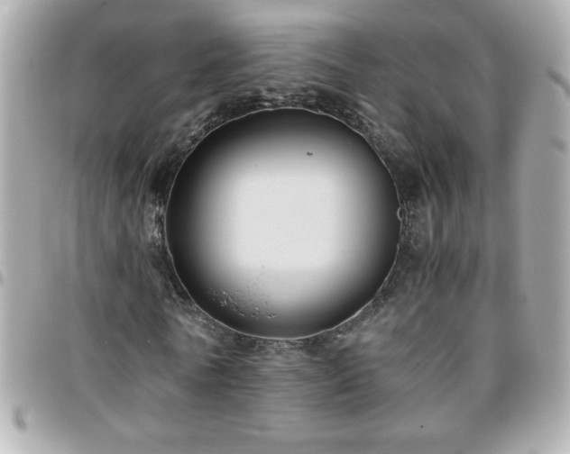 X0000096460770200801241406