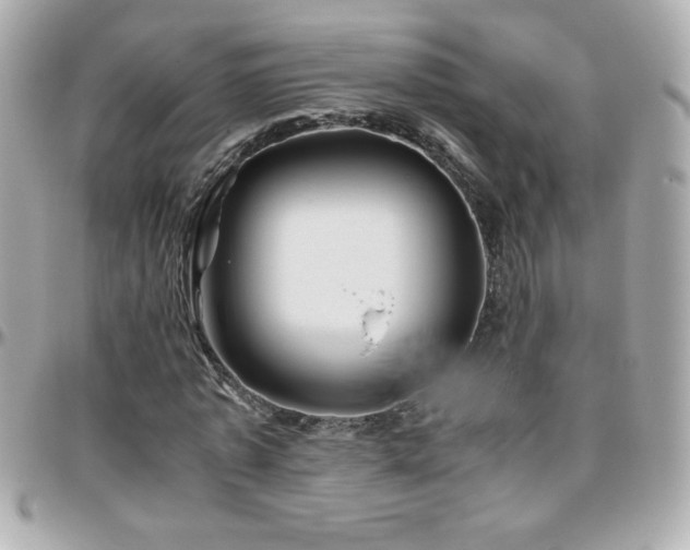 X0000096460773200801241406