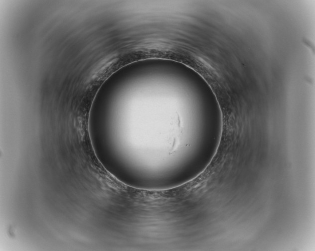 X0000096460774200801241406