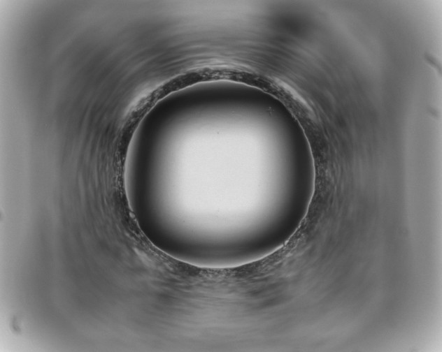 X0000096460775200801241406