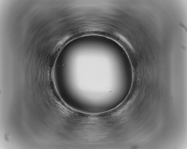 X0000096460777200801241406