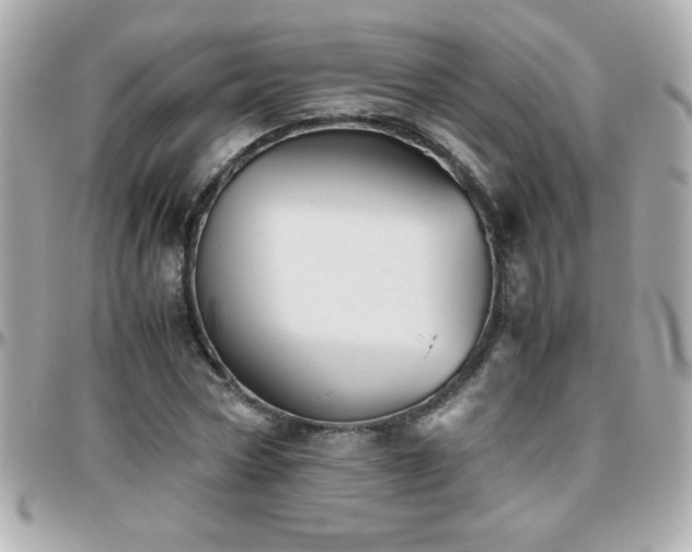 X0000096460778200801241406