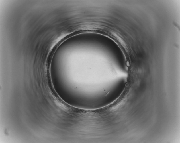 X0000096460779200801241406