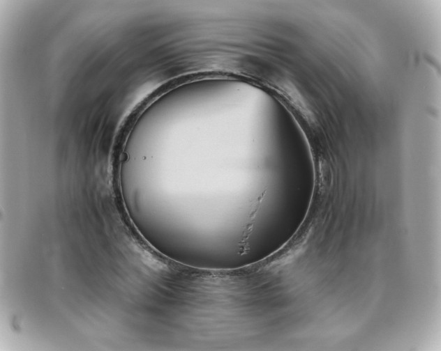 X0000096460780200801241406