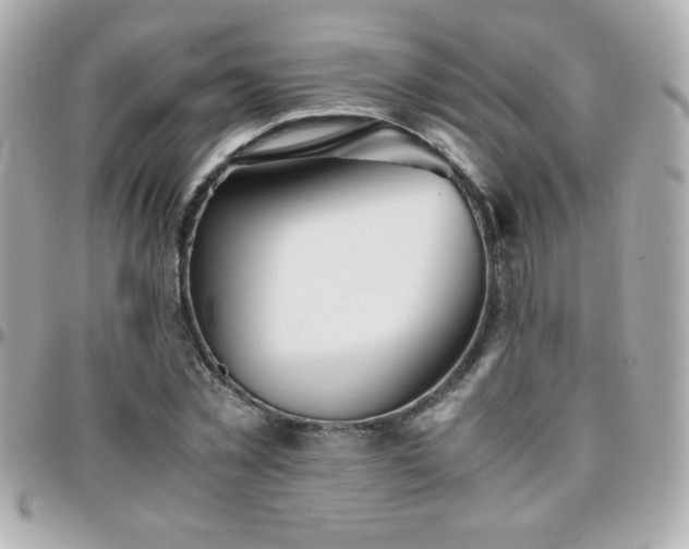 X0000096460781200801241406