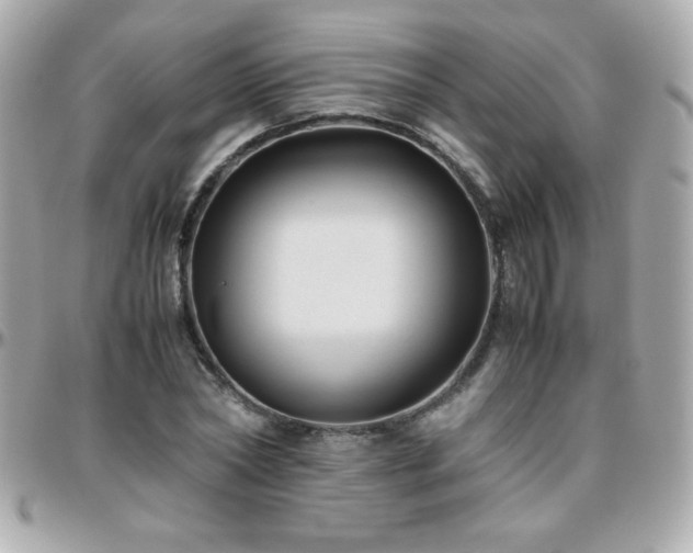 X0000096460782200801241406