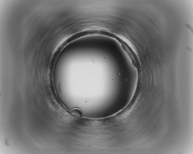 X0000096460783200801241406