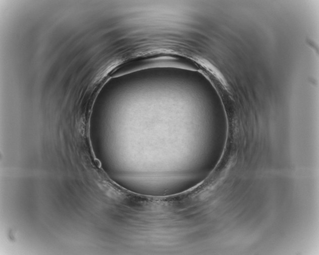 X0000096460785200801241406