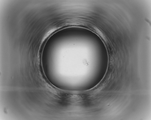 X0000096460787200801241406