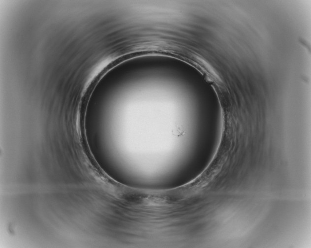 X0000096460788200801241406