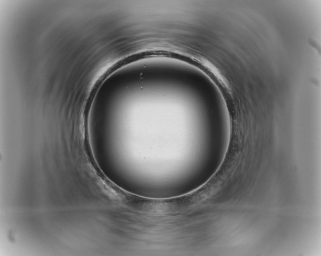 X0000096460791200801241406
