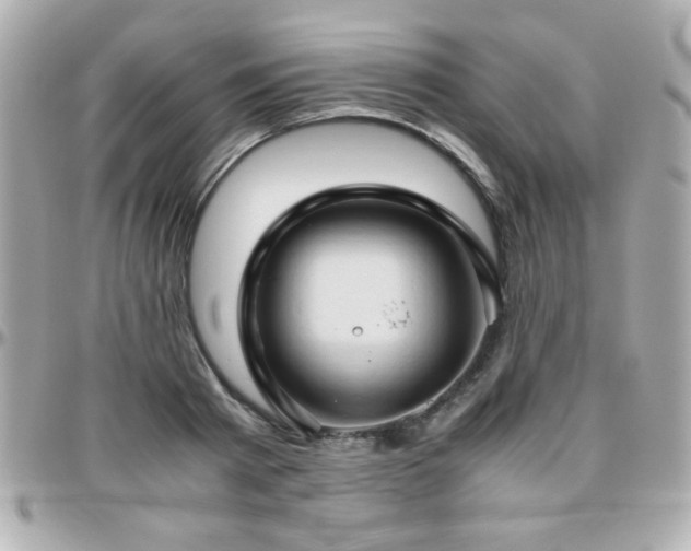 X0000096460793200801241406
