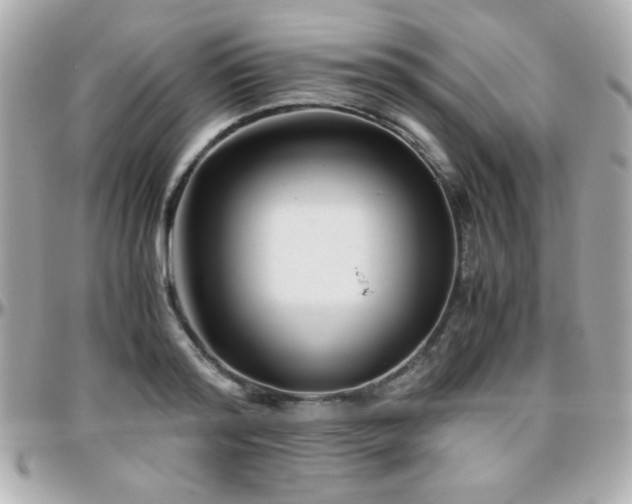 X0000096460796200801241406